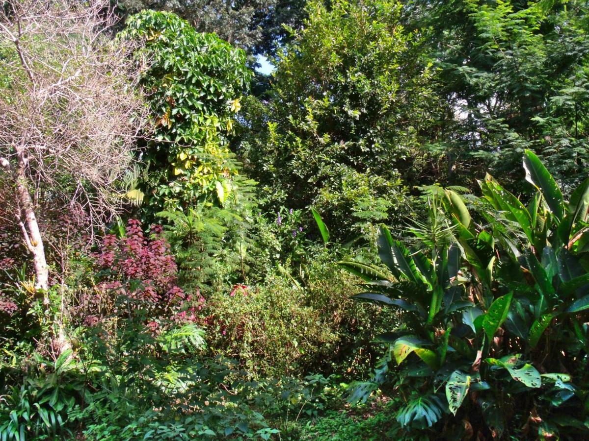 Hotel Curitiba Campo Comprido Eksteriør billede