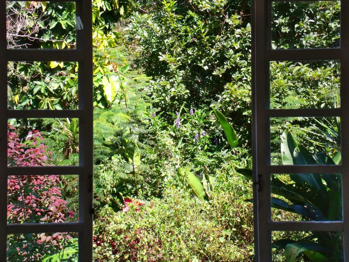 Hotel Curitiba Campo Comprido Eksteriør billede
