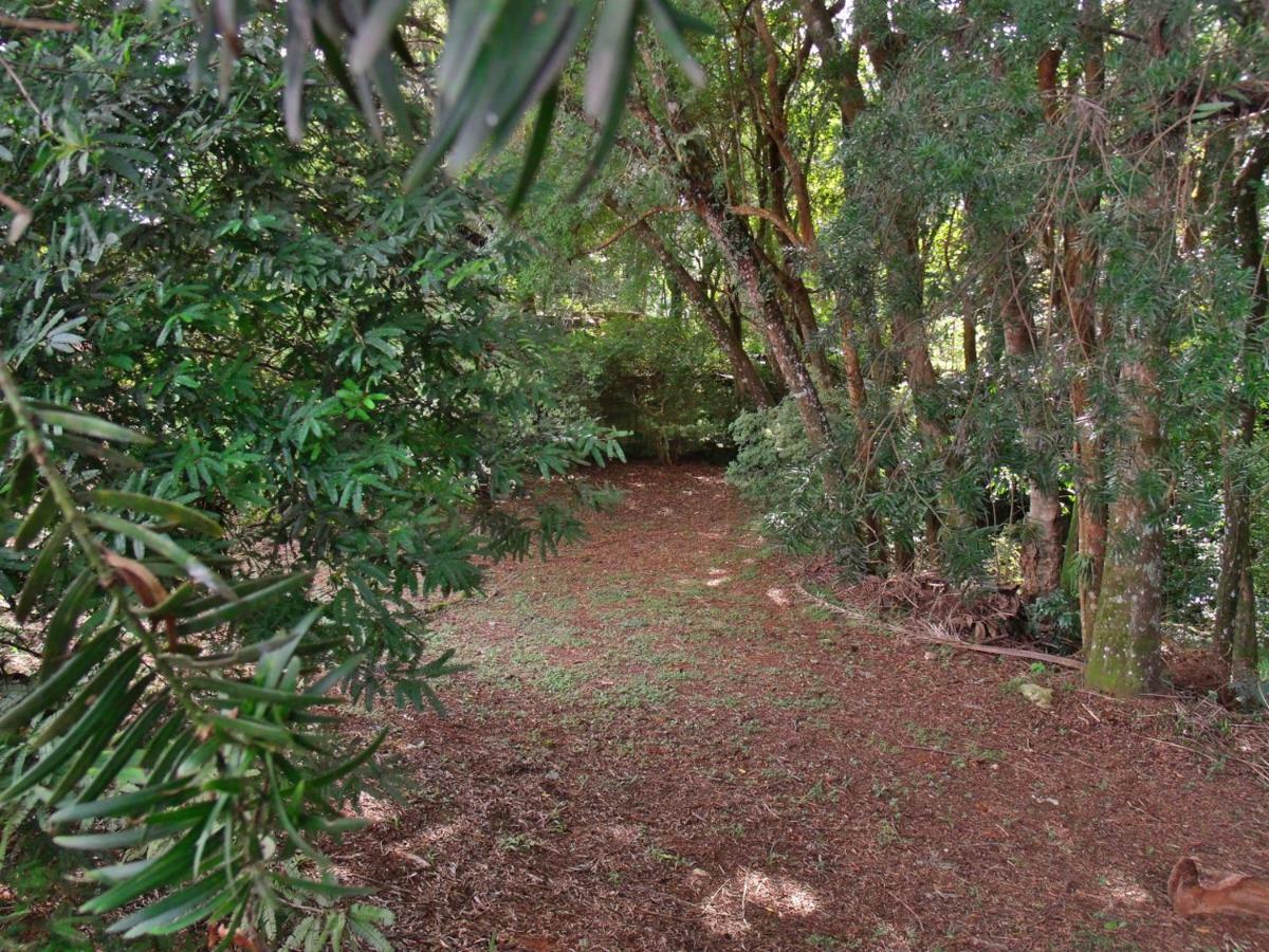 Hotel Curitiba Campo Comprido Eksteriør billede